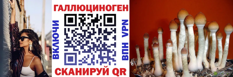 Галлюциногенные грибы GOLDEN TEACHER  blacksprut сайт  Светогорск 